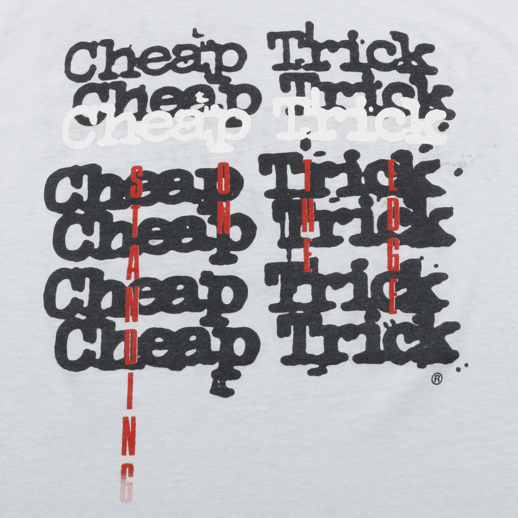 80s ヴィンテージ Cheap Trick バンドTシャツ バンT standing on the