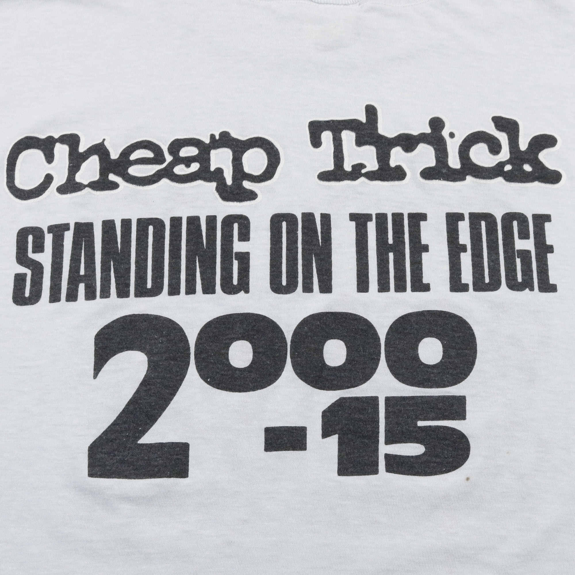 80s ヴィンテージ Cheap Trick バンドTシャツ バンT standing on the