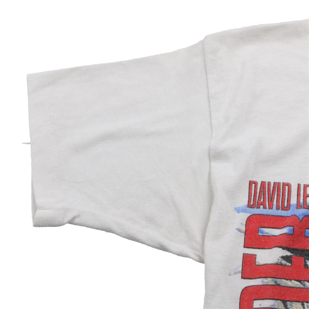 80s David Lee Roth/Van Halen ビンテージ Tシャツ袖丈半袖